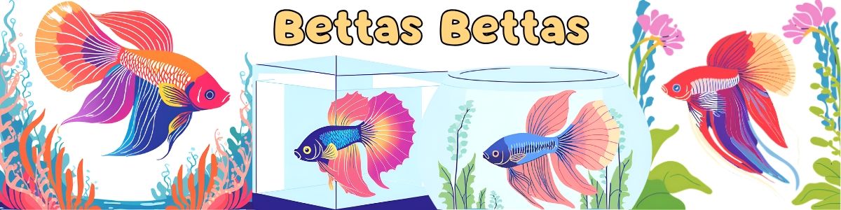 Colorful illustrated banner featuring four vibrant betta fish in various aquariums and underwater settings. The text 'Bettas Bettas' is displayed in a playful, bold font. The background includes aquatic plants, bubbles, and coral, creating a lively and engaging design.